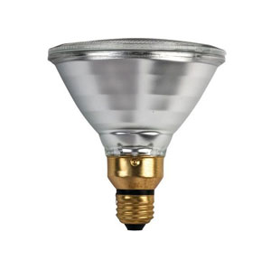 Lamps - PAR38