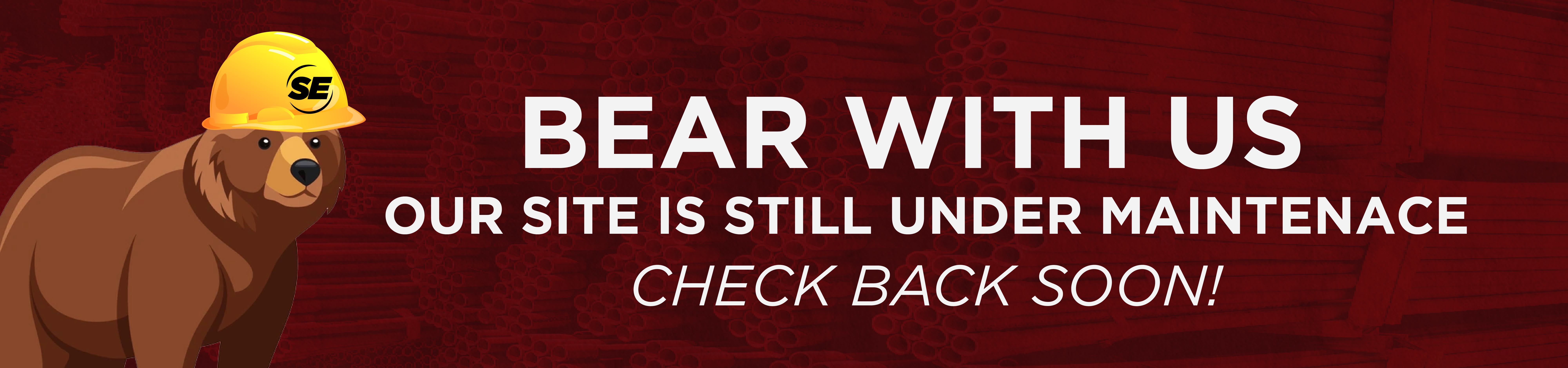 BEAR_WITH_US.png