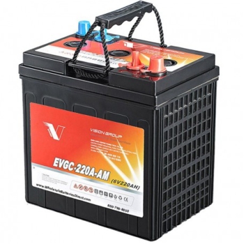 Vision  VNB EVGC-220A-AM