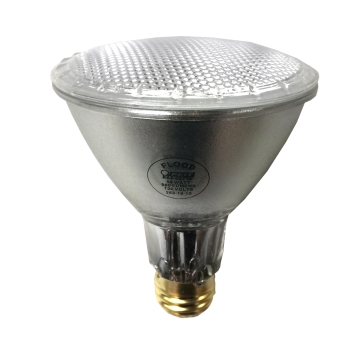 GENERAL ELECTRIC GE  FET 55PAR30/L/QFL/ES