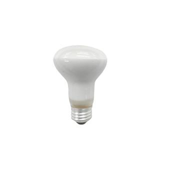 GENERAL ELECTRIC GE  GEL 30R20/1/120V/6PK