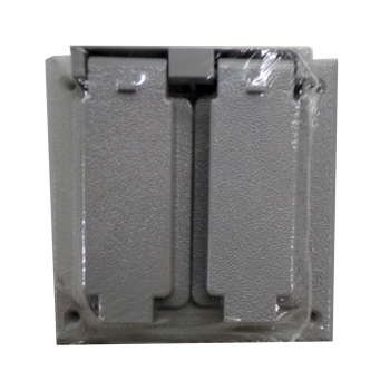 BWF  BWF FGV-2DCV