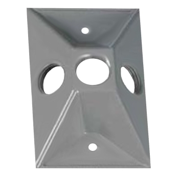 BWF  BWF RC-3V