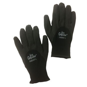 Global Glove  GBG 348INT-L