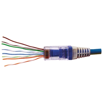 Multiple 202010J NSI 202010J