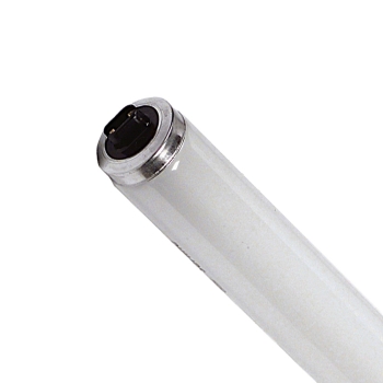 Ledvance  LEDV F36T12/CW/HO