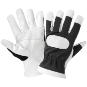 Global Glove 