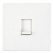Lutron 