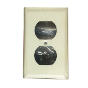 Wiremold 
