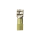 Penn Union  PEN EFR6C250