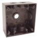 BWF  BWF TGB-55V