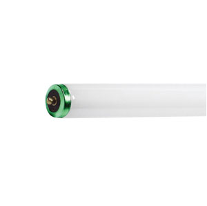 Fluorescent - Tube T12