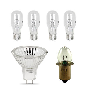 Bulbs - Miniature Specialty
