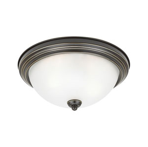 Ceiling Fixtures