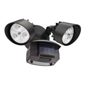 Flood Light w/Motion Sensor