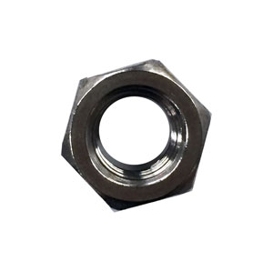 Hex Nuts Stainless