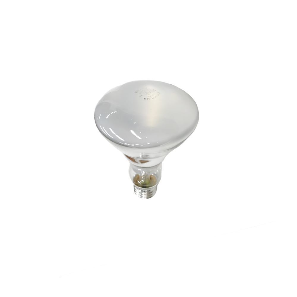 65 watt online 120 volt bulb