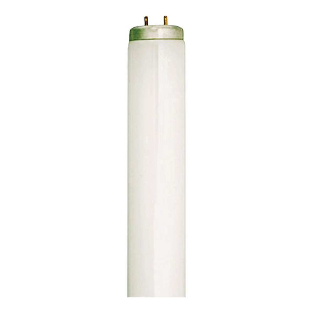 T12 cool white hotsell